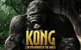 Игровой автомат King Kong Playtech